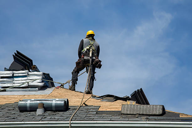 Professional Roof Repair technician working in New Milford, IL